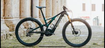 S-Works Turbo Levo, 29 pouces, Enlèvement, Utilisé