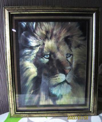 Frame „Lion” beschikbaar voor biedingen