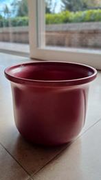 Bloempot, Enlèvement