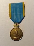 medaille afrikaanse veldtochten, Ophalen of Verzenden, Landmacht, Lintje, Medaille of Wings