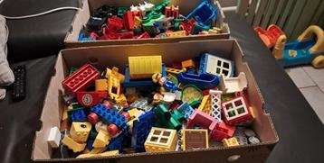 duplo 2 volle bananendozen beschikbaar voor biedingen