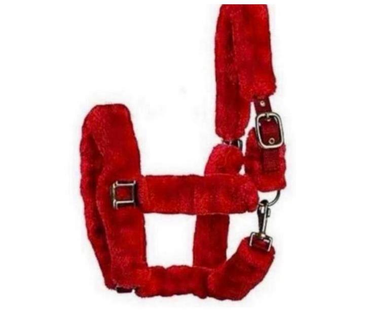 Elico Kingston Halster paard paarden gewatteerd pluizig rood, Dieren en Toebehoren, Paarden en Pony's | Hoofdstellen en Tuigage