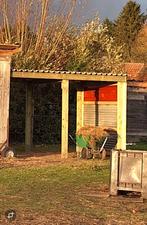 schuilstal/afdak voor paarden / dieren – zo goed als nieuw, Dieren en Toebehoren, Stalling en Weidegang