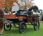 Calèche wagonnette 8 places, Dieren en Toebehoren, Rijtuigen en Koetsen, Gebruikt, Wagonette, Paard
