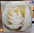 Schilderij - Witte Roos, Antiek en Kunst, Ophalen