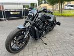 Harley Night rod special custom, Motoren, Motoren | Harley-Davidson, Bedrijf