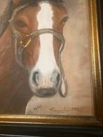 Paardenkop van Blaky schilderij 46x55cm., Ophalen of Verzenden