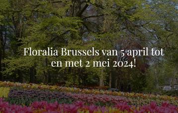 12 Tickets Floralia Brussels