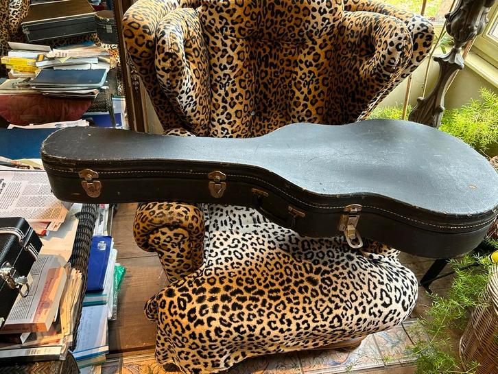 Merkloze oude gitaarkoffer Thinline archtop ES, Muziek en Instrumenten, Behuizingen en Koffers, Ophalen