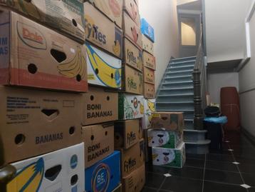 Bananendozen en gewoon dozen perfect als verhuisdozen of opb beschikbaar voor biedingen