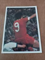 Panini euro football 78 , nr 126, Ophalen of Verzenden, Zo goed als nieuw, Sticker