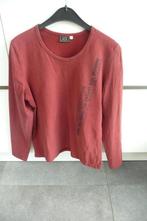 Roestkleurige longsleeve Green ice (K730), Kleding | Dames, Maat 38/40 (M), Overige kleuren, Ophalen of Verzenden, Zo goed als nieuw