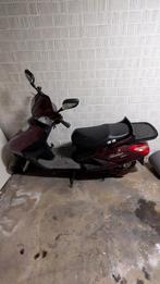 Scooter électrique, Électrique