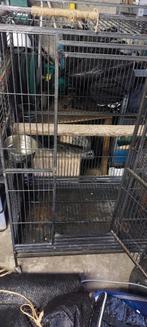 voliére, Animaux & Accessoires, Oiseaux | Perruches & Perroquets