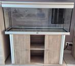 aquarium 240 litres, Enlèvement, Utilisé, Aquarium vide