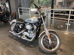 Harley-Davidson SPORTSTER 883 LOW, Motos, 883 cm³, 2 cylindres, Chopper, Entreprise