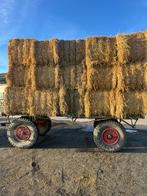 Tarwestro 2025, Dieren en Toebehoren, Ophalen, Overige soorten