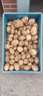Nieuwe aardappelen te koop, Zakelijke goederen, Ophalen of Verzenden