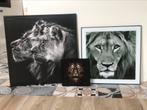Cadre photo lion tigre, Overige materialen, 50 tot 75 cm, 50 tot 75 cm