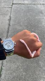 roze albino Amerikaanse korenslang (Pantherophis guttatus), Dieren en Toebehoren, Slang, 0 tot 2 jaar