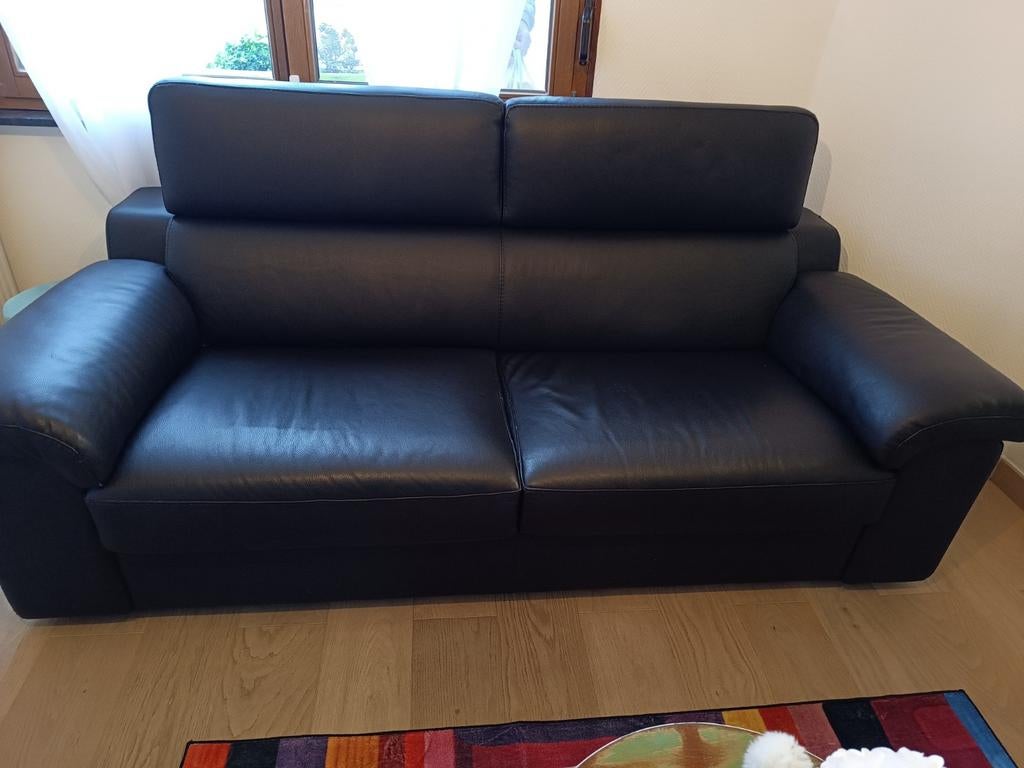 Salon en cuir noir, Enlèvement, Cuir