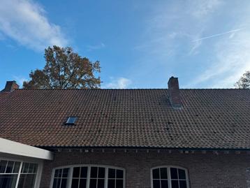 Jong recup ovh pannen beschikbaar voor biedingen