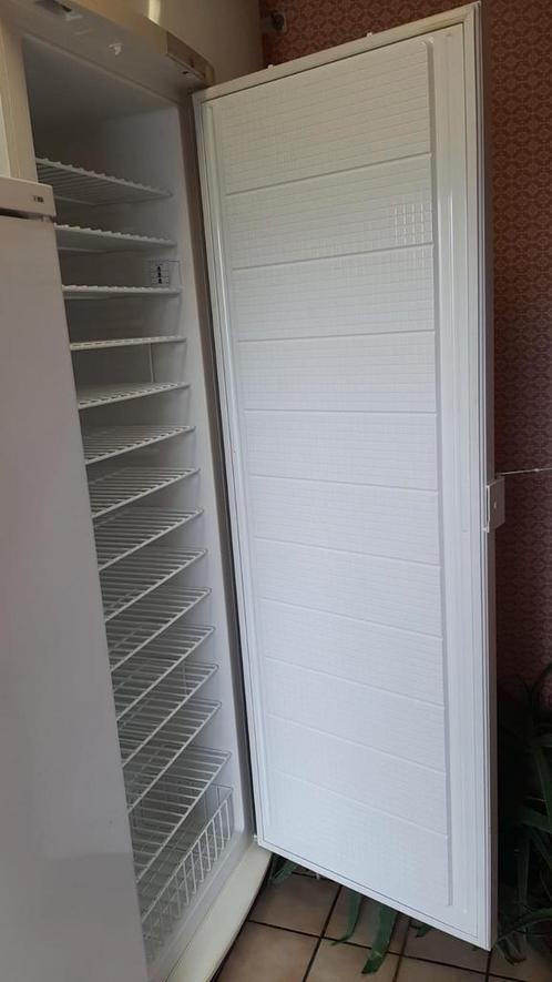 Frigo à vin ou à boissons, Elektronische apparatuur, Vriezers en Diepvrieskisten, Ophalen