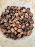 Walnoten/okkernoten van 2025 van groot formaat, Ophalen