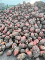 voederbieten Rialto, Zakelijke goederen, Landbouw | Werktuigen, Ophalen