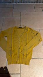 Gilet maat small zara, Ophalen of Verzenden, Zo goed als nieuw