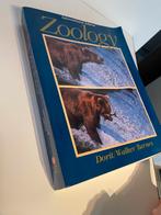 Zoology - Dorit/Walker/Barnes, Livres, Livres d'étude & Cours, Enlèvement, Utilisé