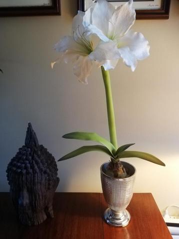 Belle fleur artificielle dans un vase