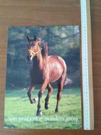 6x posters dieren - spreuken, Ophalen of Verzenden, Foto