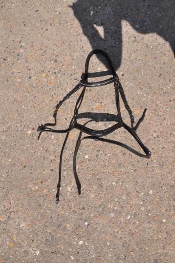 Hoofdstel  beschikbaar voor biedingen