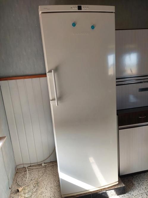 diepvrieskast - diepvriezer - Liebherr 305 L - No Frost, Elektronische apparatuur, Vriezers en Diepvrieskisten, Gebruikt, Vrijstaand