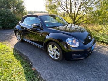 VW Beetle Cabriolet, Autos, 1197 cm³, Euro 5, Achat, Entreprise