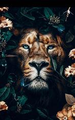 Mooie gekleurde bedrukte doek met leeuw op textiel nieuw, Enlèvement, Neuf