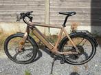 Stromer ST1X L 22 inch, Fietsen en Brommers, Ophalen, Minder dan 30 km per accu, Gebruikt, Stromer