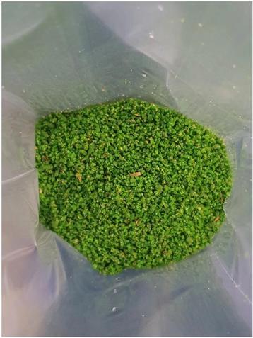 Verdure Rul Eivoer 1kg, + Vitamine Complexe, Pineta  beschikbaar voor biedingen