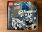 lego ideas dinosaurus fossielen - 21320, Kinderen en Baby's, Speelgoed | Duplo en Lego, Ophalen of Verzenden, Nieuw, Complete set