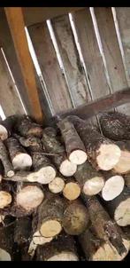 Hout canadese populier, Tuin en Terras, Brandhout, 6 m³ of meer, Ophalen, Overige houtsoorten, Stammen