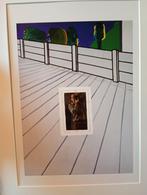 Raveel Roger, mooi kerstgeschenk, Ophalen of Verzenden