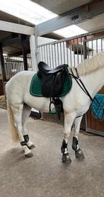 Selle de dressage Ideal 17" MW, Animaux & Accessoires, Chevaux & Poneys | Selles, Comme neuf, Enlèvement, Dressage