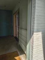 strakke glazen deur, Huis en Inrichting, Overige Huis en Inrichting, Ophalen, Zo goed als nieuw