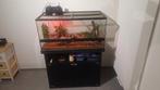 python royal,terrarium et meuble, Ophalen
