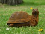 Beeld Schildpad van gietijzer - gedetailleerd, Antiek en Kunst, Ophalen of Verzenden