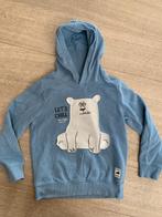 Trui met ijsbeer C&A maat 134, Enlèvement, Comme neuf, C&A, Pull ou Veste