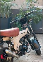 Dax skyteam limited edition palm beach 50cc, Fietsen en Brommers, Ophalen, Gebruikt, Overige modellen, Klasse B (45 km/u)
