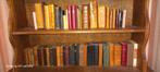 Bijbels missieboeken, Boeken, Godsdienst en Theologie, Ophalen, Gelezen