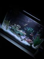 Aquarium 70 liter, Ophalen, Gebruikt